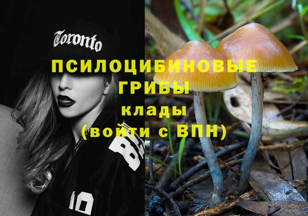спиды Алексин