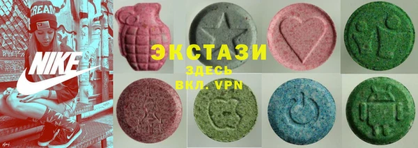 ECSTASY Алзамай