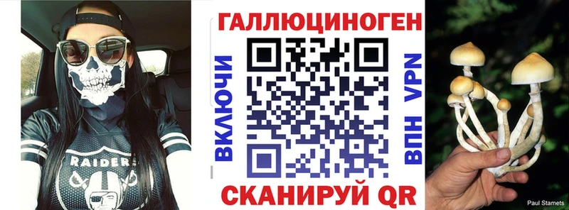 мега зеркало  Поронайск  Псилоцибиновые грибы Psilocybine cubensis 